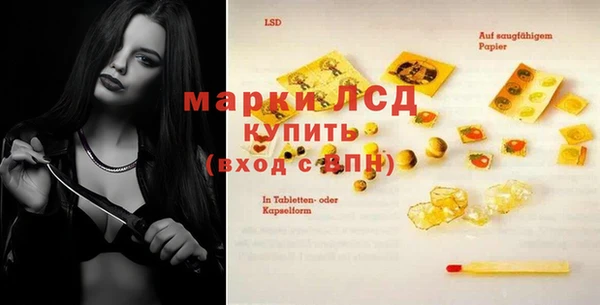 apvp Бородино