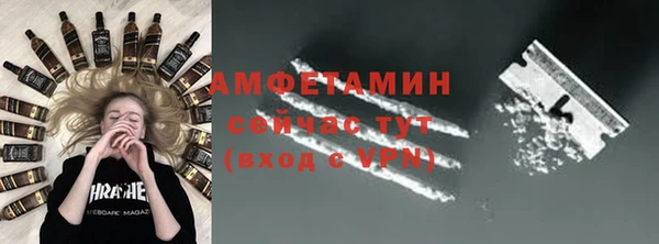 индика Володарск