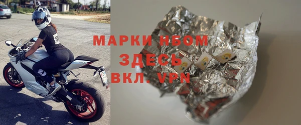 прущие грибы Тихвин