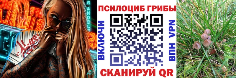 Псилоцибиновые грибы мухоморы  Донской 